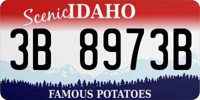 ID license plate 3B8973B