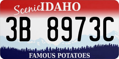 ID license plate 3B8973C