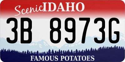 ID license plate 3B8973G