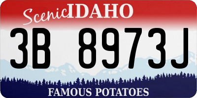 ID license plate 3B8973J
