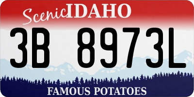ID license plate 3B8973L