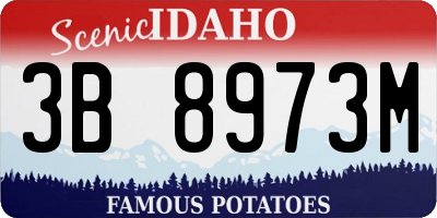ID license plate 3B8973M
