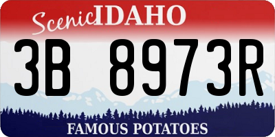 ID license plate 3B8973R