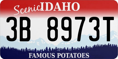 ID license plate 3B8973T