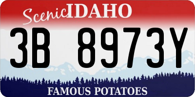 ID license plate 3B8973Y