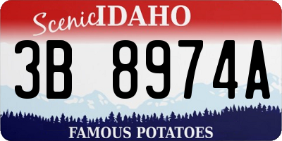 ID license plate 3B8974A