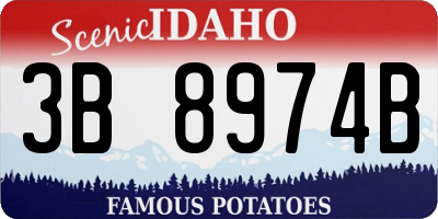 ID license plate 3B8974B