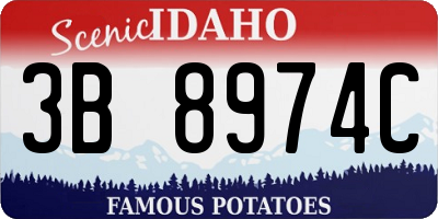 ID license plate 3B8974C
