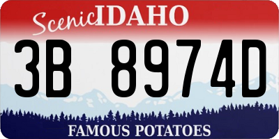 ID license plate 3B8974D