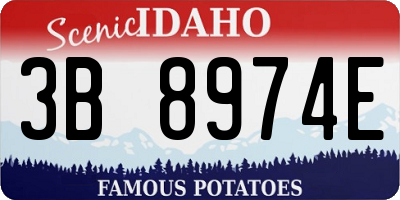 ID license plate 3B8974E