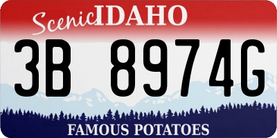 ID license plate 3B8974G