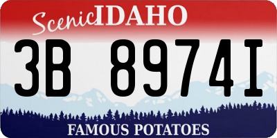 ID license plate 3B8974I