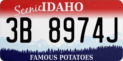 ID license plate 3B8974J