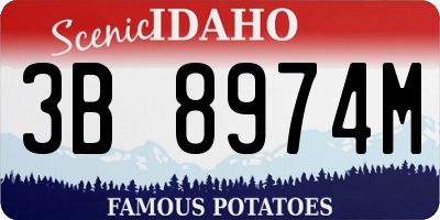 ID license plate 3B8974M
