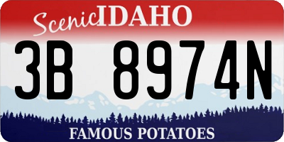 ID license plate 3B8974N