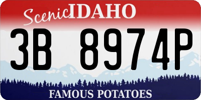 ID license plate 3B8974P