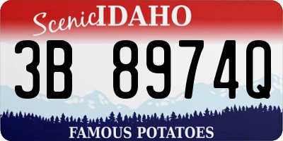 ID license plate 3B8974Q