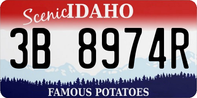 ID license plate 3B8974R