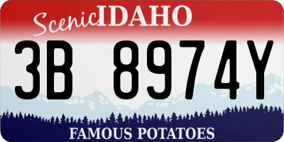 ID license plate 3B8974Y