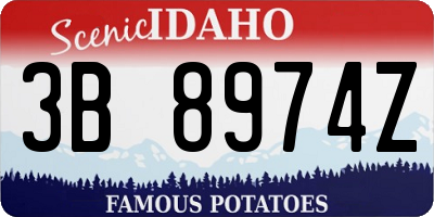 ID license plate 3B8974Z