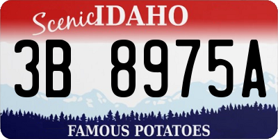 ID license plate 3B8975A
