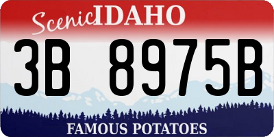 ID license plate 3B8975B