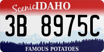 ID license plate 3B8975C