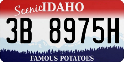 ID license plate 3B8975H