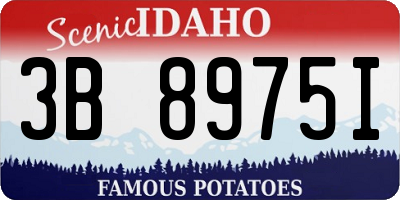 ID license plate 3B8975I