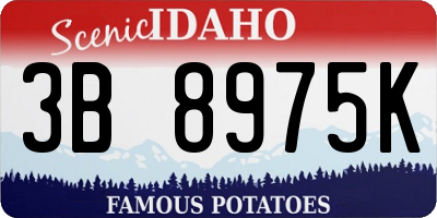 ID license plate 3B8975K