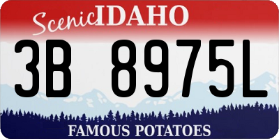 ID license plate 3B8975L