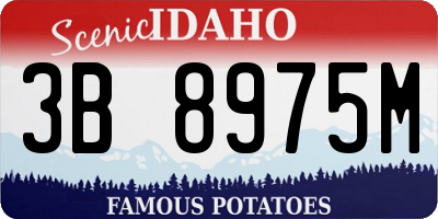 ID license plate 3B8975M