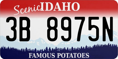 ID license plate 3B8975N