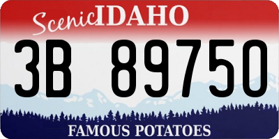 ID license plate 3B8975O