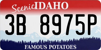 ID license plate 3B8975P