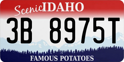 ID license plate 3B8975T