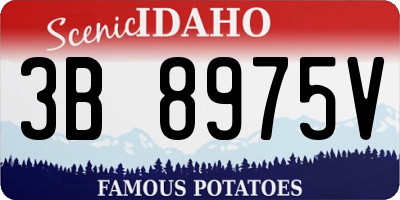 ID license plate 3B8975V
