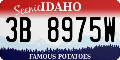 ID license plate 3B8975W