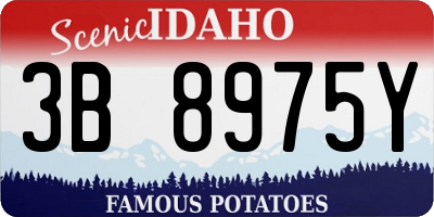 ID license plate 3B8975Y