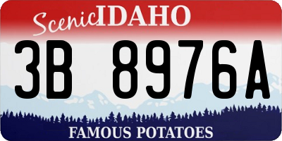 ID license plate 3B8976A