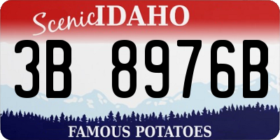 ID license plate 3B8976B