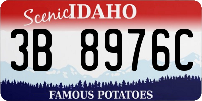 ID license plate 3B8976C