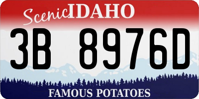 ID license plate 3B8976D