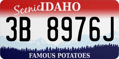 ID license plate 3B8976J