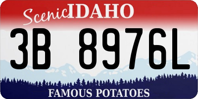 ID license plate 3B8976L
