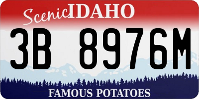 ID license plate 3B8976M
