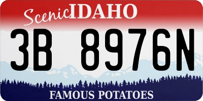 ID license plate 3B8976N
