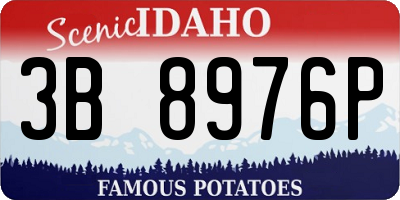 ID license plate 3B8976P