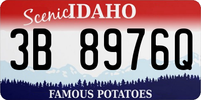 ID license plate 3B8976Q