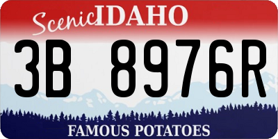 ID license plate 3B8976R